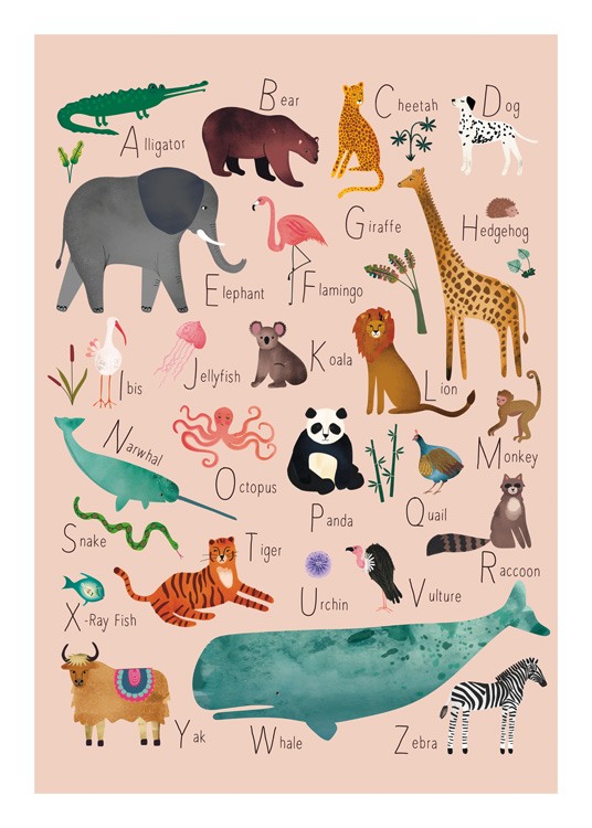 Animal Commencant Par La Lettre I Animal Commencant Par La Lettre A | AUTOMASITES